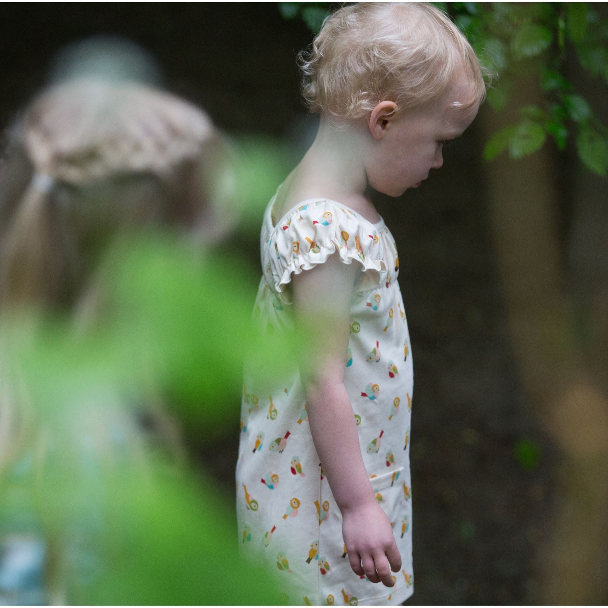 Little Birds Frill Dress