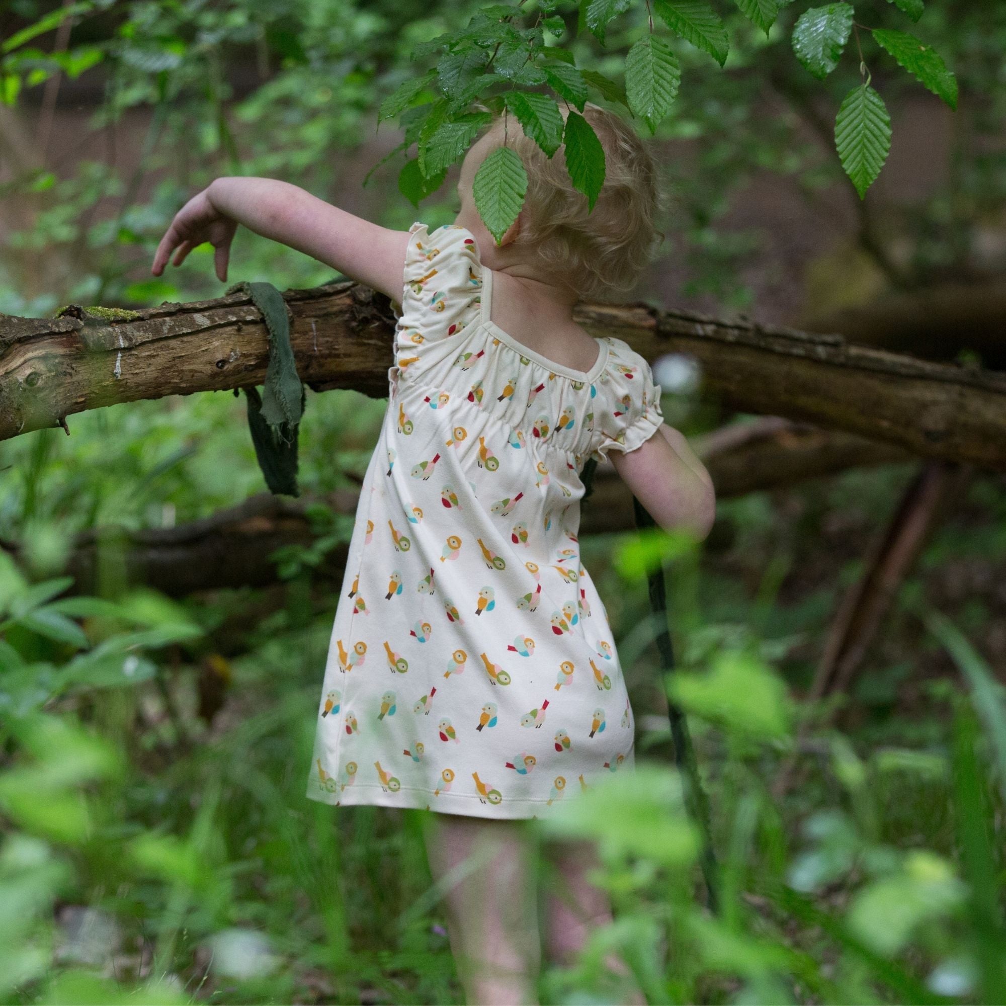 Little Birds Frill Dress