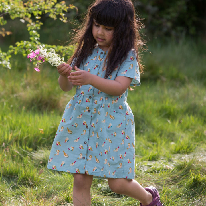 Rainbow Birds Button Through Shot Sleeve Dress