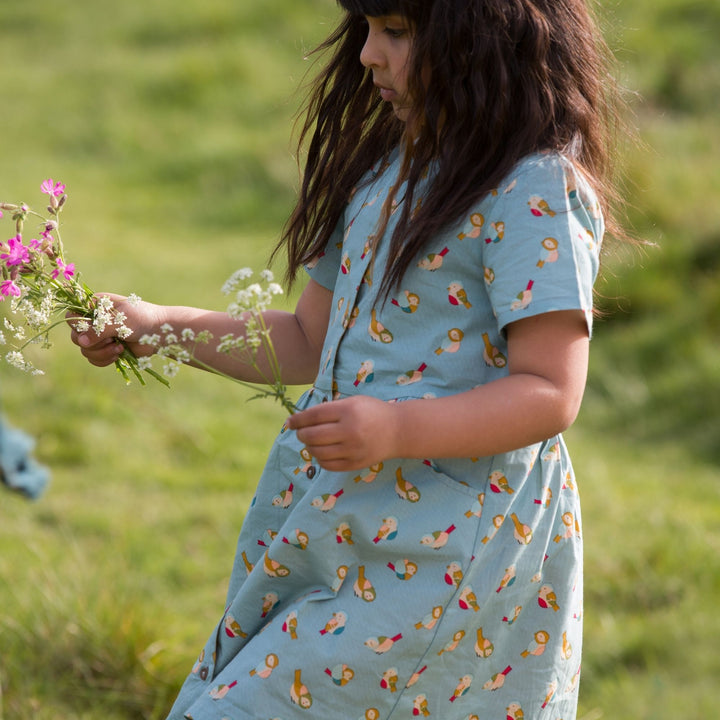 Rainbow Birds Button Through Shot Sleeve Dress