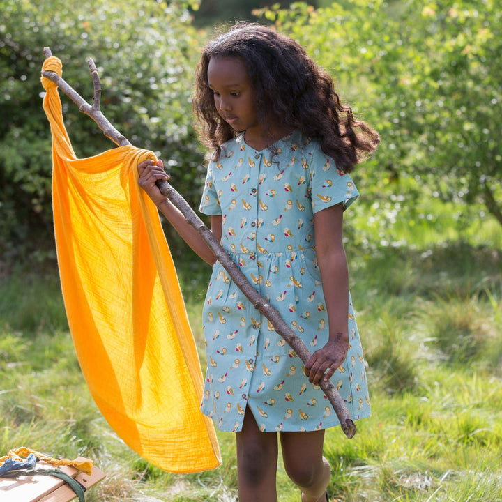 Rainbow Birds Button Through Shot Sleeve Dress