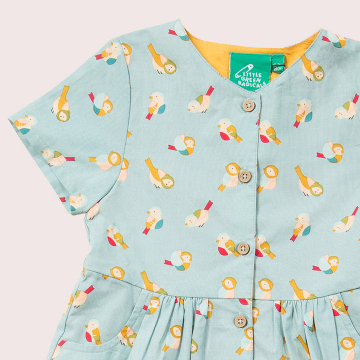 Rainbow Birds Button Through Shot Sleeve Dress