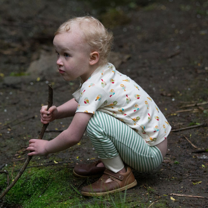 Little Birds Organic T-Shirt & Jogger Playset