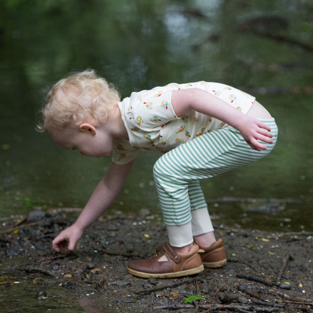 Little Birds Organic T-Shirt & Jogger Playset