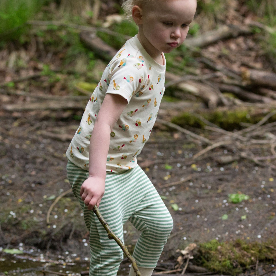 Little Birds Organic T-Shirt & Jogger Playset