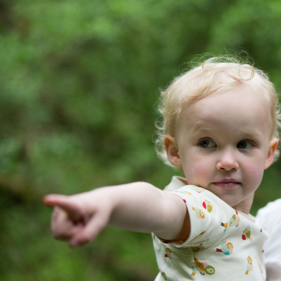 Little Birds Organic T-Shirt & Jogger Playset