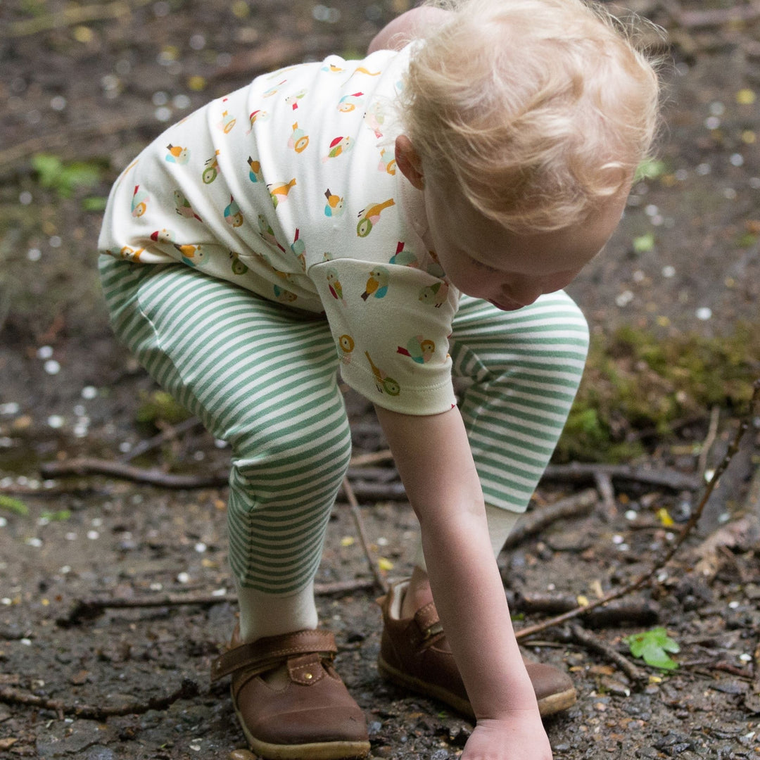 Little Birds Organic T-Shirt & Jogger Playset