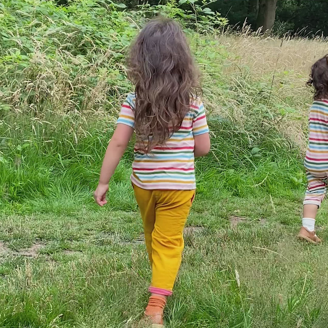 Rainbow Striped Short Sleeve T-Shirt